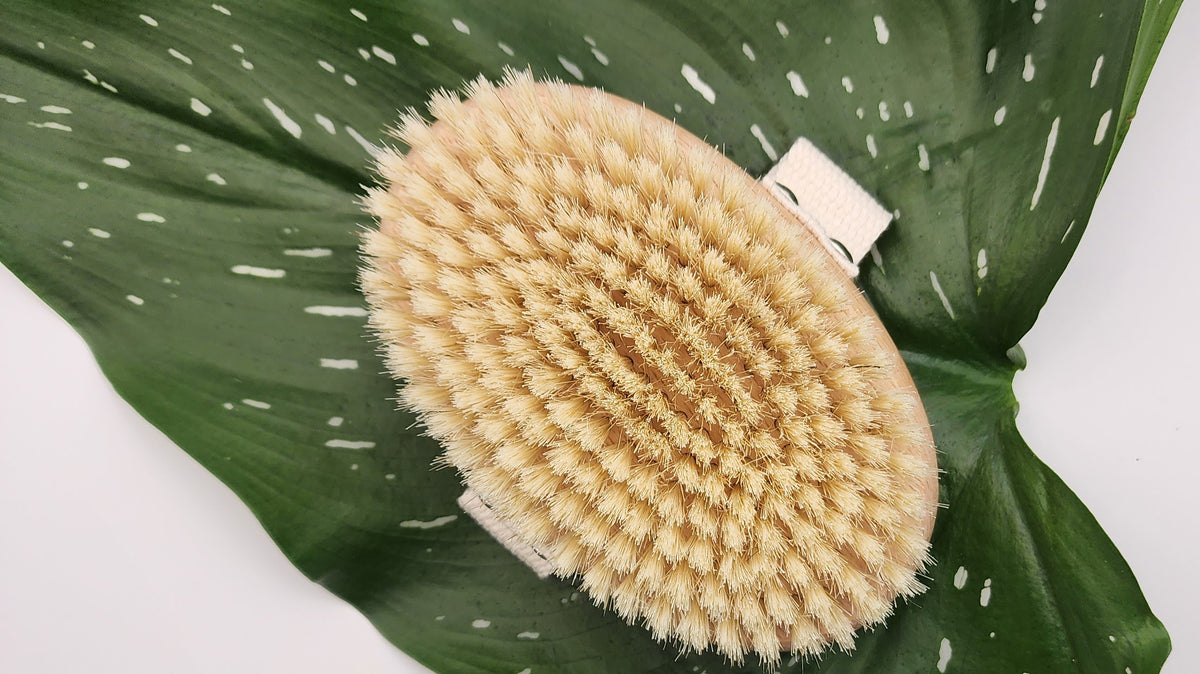 The benefits of Dry Brushing and the Lymphatic System.