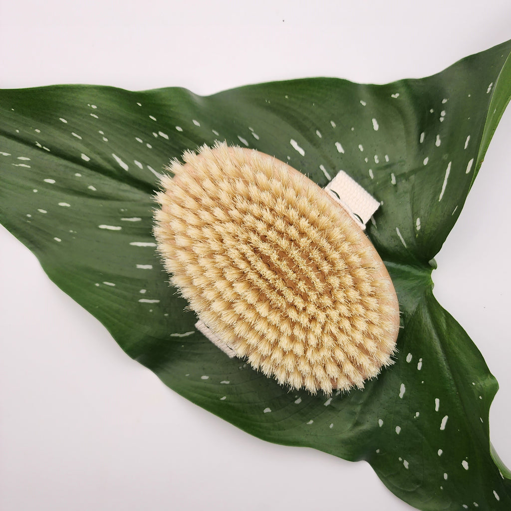 The benefits of Dry Brushing and the Lymphatic System.