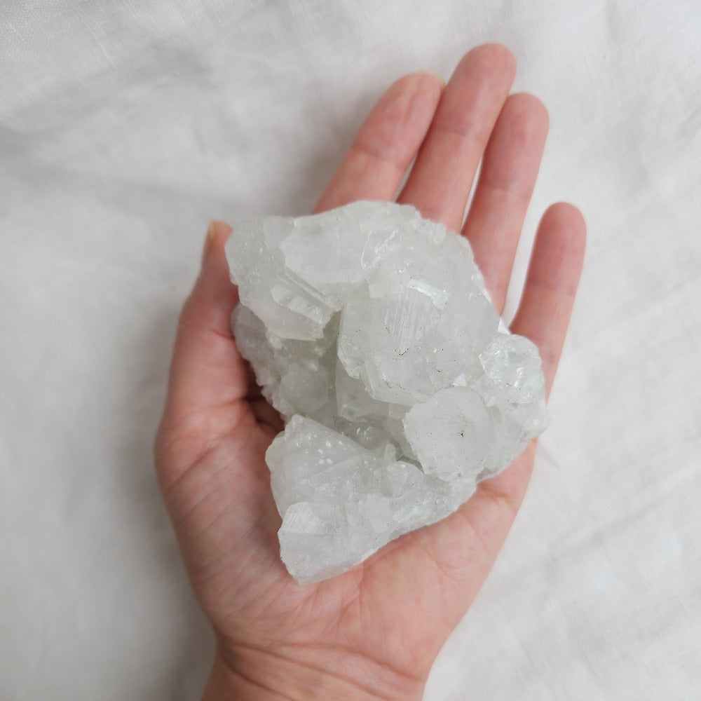 Apophyllite Cluster in Hand