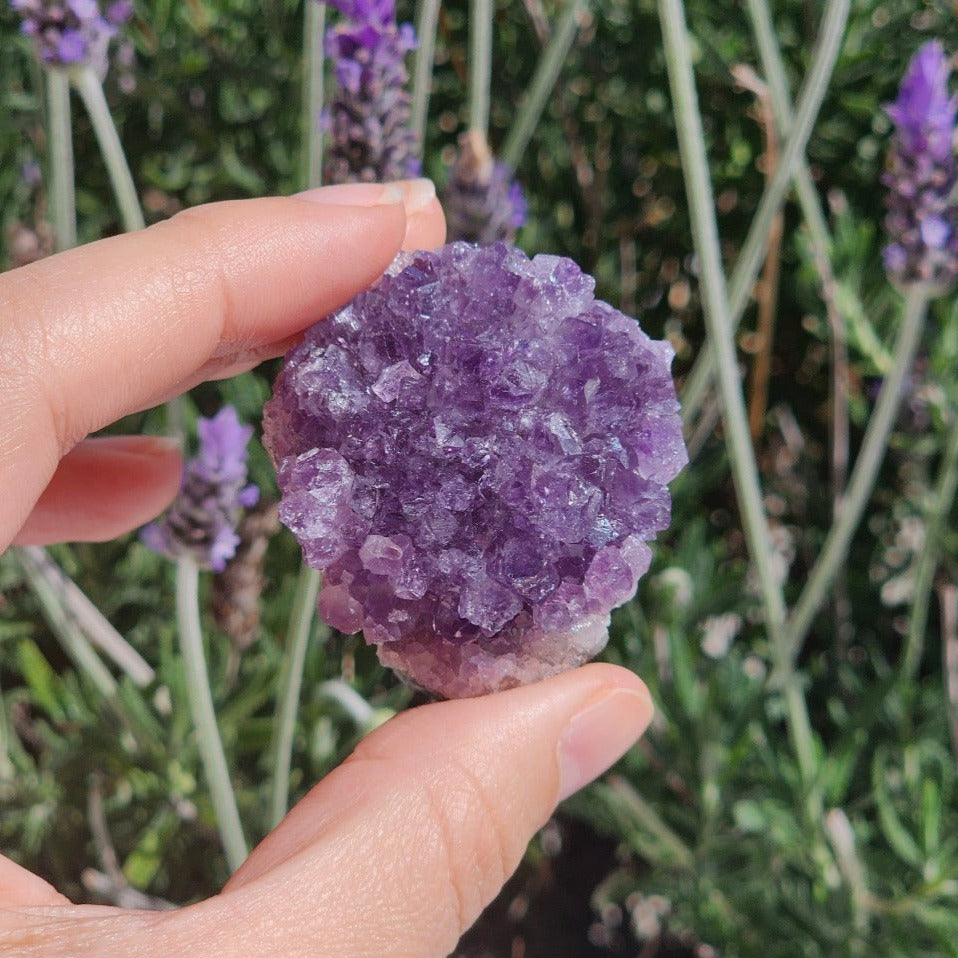 Amethyst Crystal Cluster