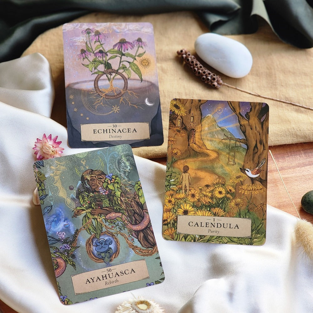 The Herbal Astrology Oracle Deck