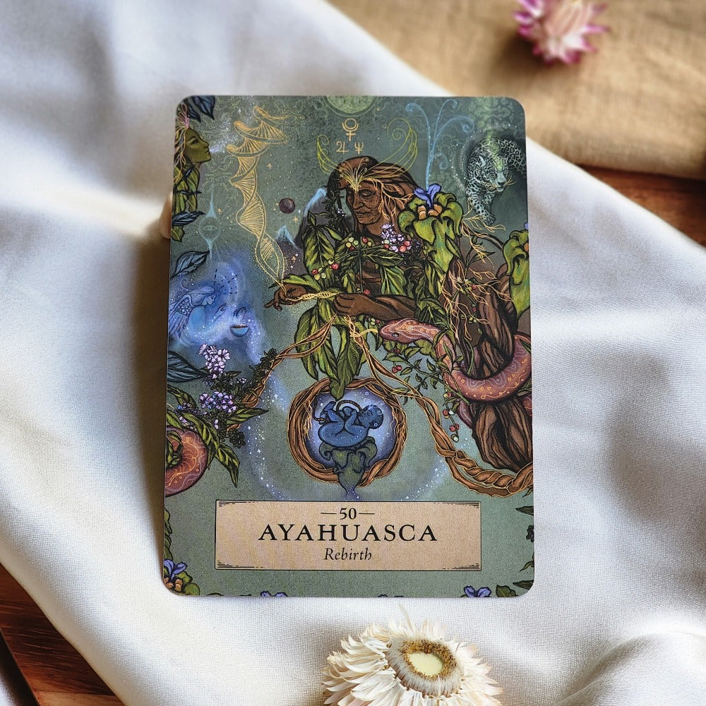 The Herbal Astrology Oracle Deck