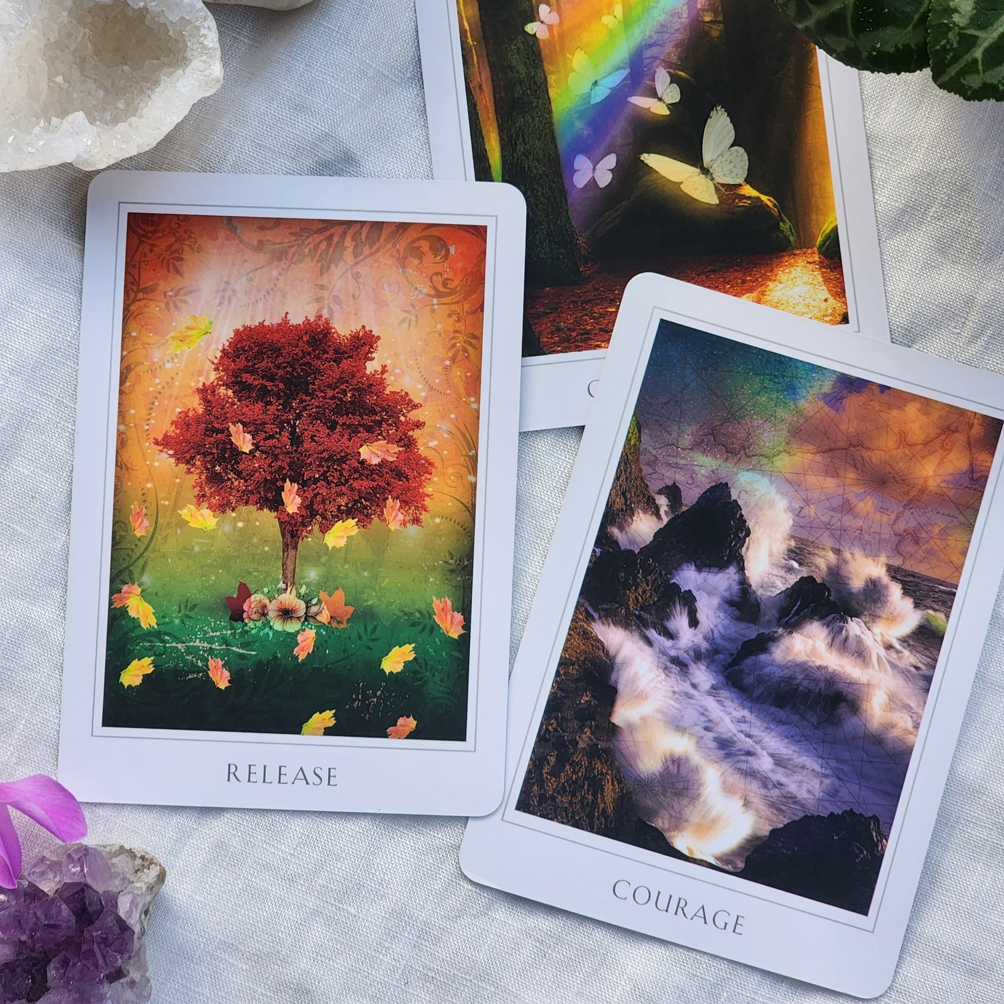 Sacred Destiny Oracle Cards – Star of Venus